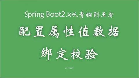 3 4 配置属性值数据绑定校验 SpringBoot从青铜到王者系列 教程