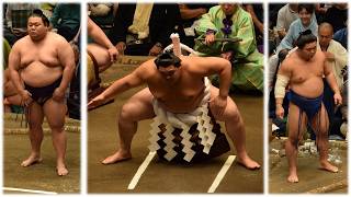 Champion Onosato \