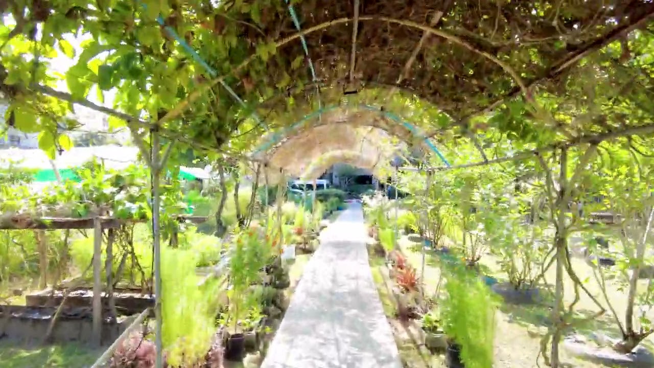 Sugar Palm Residence,Phuket,Thailand