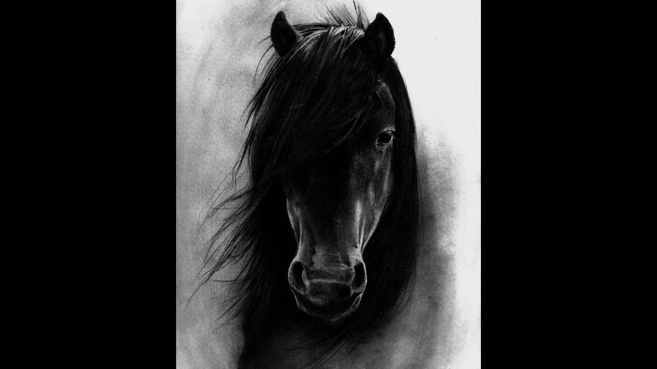 Gold Dust Woman YouTube