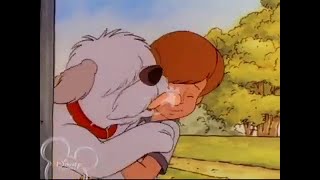 The New Adventures Of Winnie The Pooh - Skippy The English Sheepdog