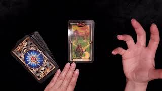 ALLE STERNZEICHEN ✨️ 15. Mai 2024 ✨️ Tarot Orakel ✨️