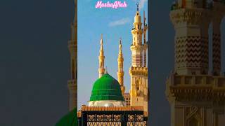 ya Mohammed karam kijiye#shorts#status#video#islamic#youtubeshorts#viral