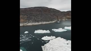 Artic Seas (Bandcamp Promo)