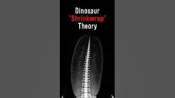 The Horrifying Dinosaur Shrinkwrap Theory 😨