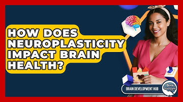 How Does Neuroplasticity Impact Brain Health? - Brain Development Hub