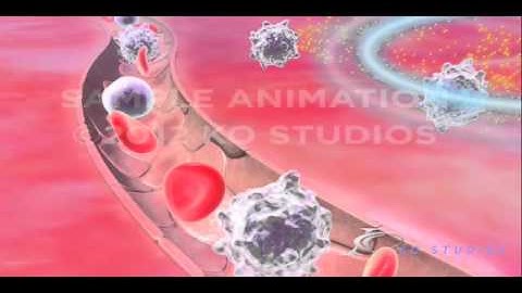 Pulse Radio-Frequency Mechanism of Action