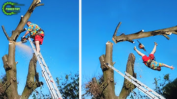 Idioten met kettingzagen: mislukte boomkap | Extreem gevaarlijke houtvrachtwagen mislukt #10