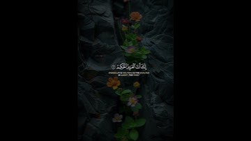 #quran #اكسبلور #قرآن #لايك #تلاوة #حالات_واتس
