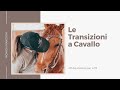 MF- Le Transizioni A Cavallo 🐎