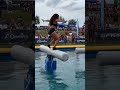 #swimming #obstaclechallenge #onesteponechance #flip #viralreels
