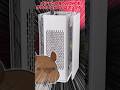 白いゲーミングPCも良いなと思えるケースに出会った！！#shorts