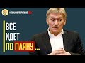 «Все идет по плану» - Представитель Кремля Песков прокомментировал атаку дронов по Москве