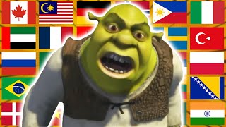 What Are You Doing In My Swamp In Different Languages Meme