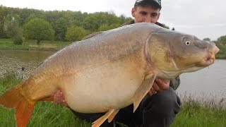 Peche à la carpe . Départ en direct