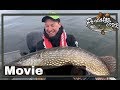 🎣 EUROPEAN PREDATOR FISHING COMPETITION 🎥 (Fish&Fang)  PredatorTour 2016 | Pike Zander Perch fishing