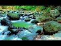 Pure River Soundscape 🌊 Calm Water Audio for Stress Relief & Relaxation