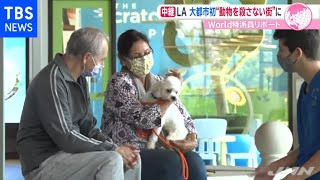 ＬＡが大都市初「動物を殺さない街」に 手厚いケアを実現する施設も！