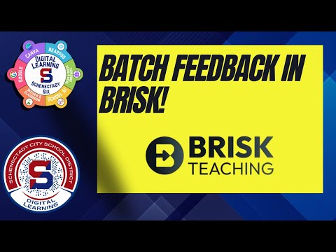 Batch Feedback with Brisk!