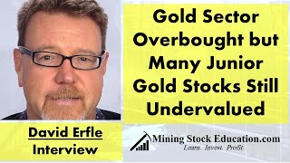 Gold Sector Overbought but Many Junior Gold Stocks Still Undervalued says David Erfle