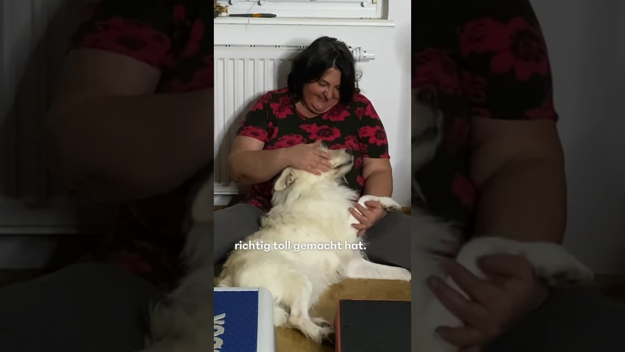 Sport mit Hund - Vertrauensaufbau mit Freude