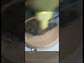 めーさくコースター