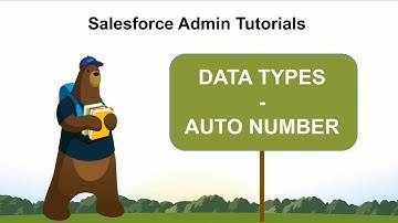 Salesforce Data Types | Auto Number Data types | Salesforce Admin Tutorial