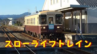 天竜浜名湖鉄道TH3501形『スローライフトレイン（レトロ ドロフィーズ）』