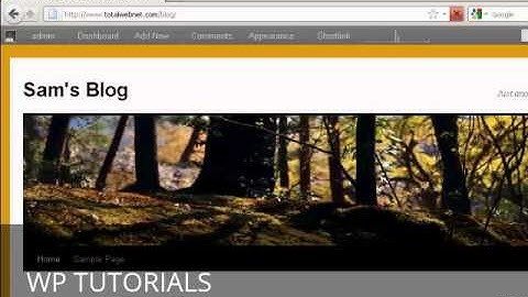 Video 53  How to Schedule Blog Post For Future Date