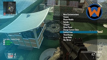 R.I.P. WiiU Part 2 (BO2 Multiplayer Mod Menu)