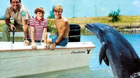 (@!@) Flipper 🐬 Opening and Closing theme 🐬👀