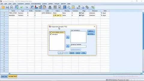 Uji t Dua Sample Berpasangan di SPSS