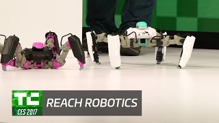 Test Drive with Reach Robotics