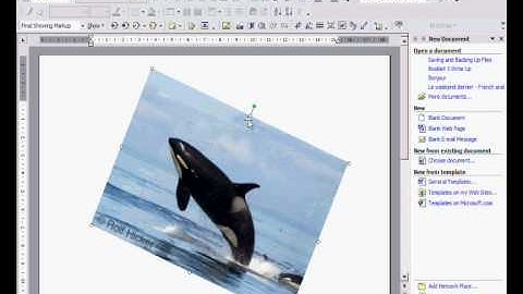 How To Easily Format Pictures On Windows XP