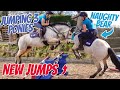 *NEW JUMPS* JUMPING ALL 3 PONIES ~ How to make simulated cross country fences with showjumps