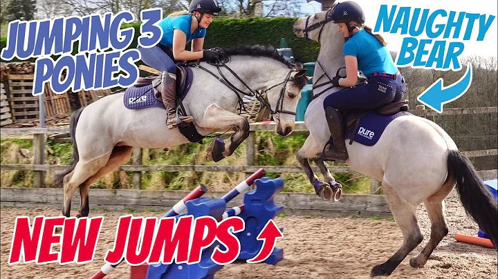 *NEW JUMPS* JUMPING ALL 3 PONIES ~ How to make simulated cross country fences with showjumps