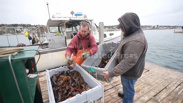 Fishermen battling with changing oceans chart new course after Trump's push to deregulate