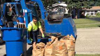 Allied waste yard waste for the dog