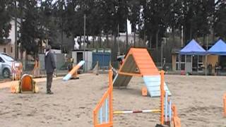 アジコン　AG1　ウィリアム　2012.2.5