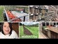 Weekend Vlog; Amish Store Visit | Picking Tomatoes | and Grocery Haul