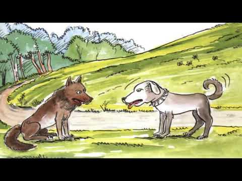 KURT İLE KÖPEK-LA FONTAİNE MASALLARI #FABL#ÇOCUK#SESLİMASAL#UYKUDANÖNCEMASAL#BÜYÜKLEREMASAL