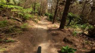B rude not 2 (Blue grade 3) at Redwoods Rotorua (New Zealand) (November 2023)