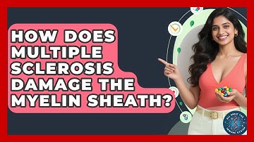 How Does Multiple Sclerosis Damage The Myelin Sheath? - All About the Immune System