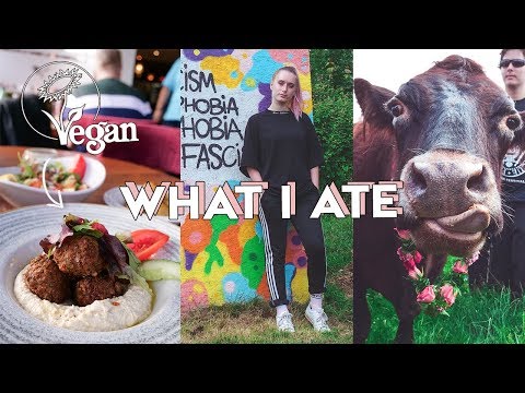 VEGAN WHAT I EAT IN A DAY #17 / friend animal rescue