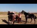 Hungarian horsemen in Kazakhstan