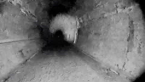 #FCKDSCGS KASSETTE LABEL presents FIFTH ERA new tracks 2.018