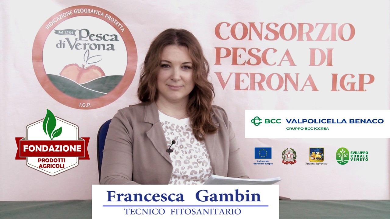 La Domenica del Pesco - 8 Marzo 2026