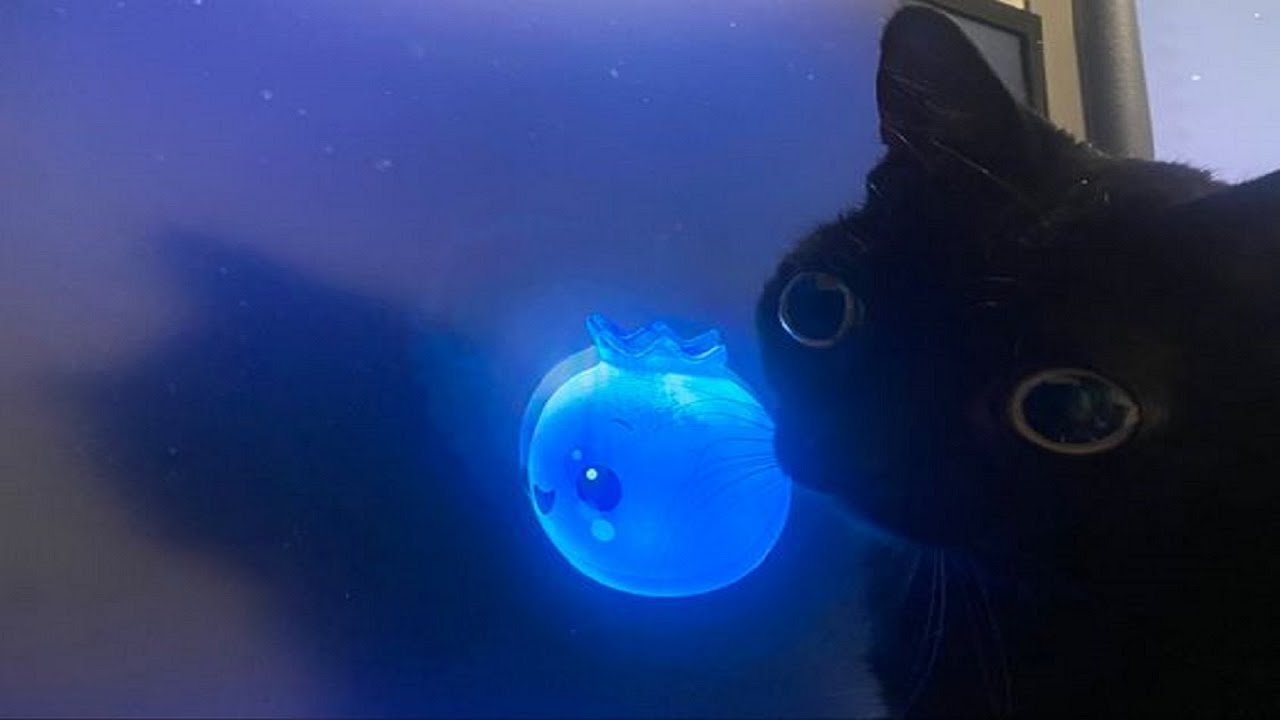 pocket rocket YouTube