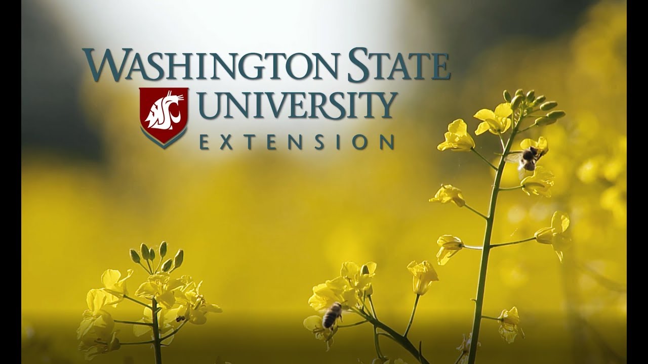 Pollination and Protecting Pollinators