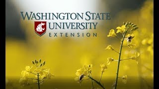 Pollination and Protecting Pollinators